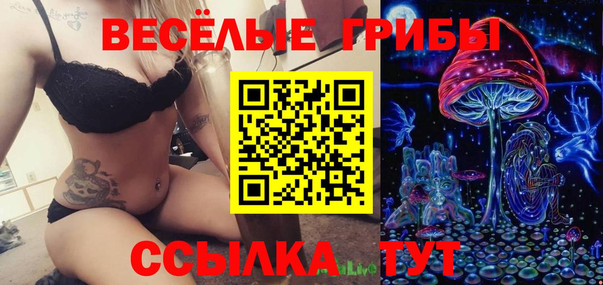 Нижний Новгород  Галлюциногенные грибы GOLDEN TEACHER  Галлюциногенные грибы Psilocybine cubensis  купить наркотики сайты  Вход с VPN 